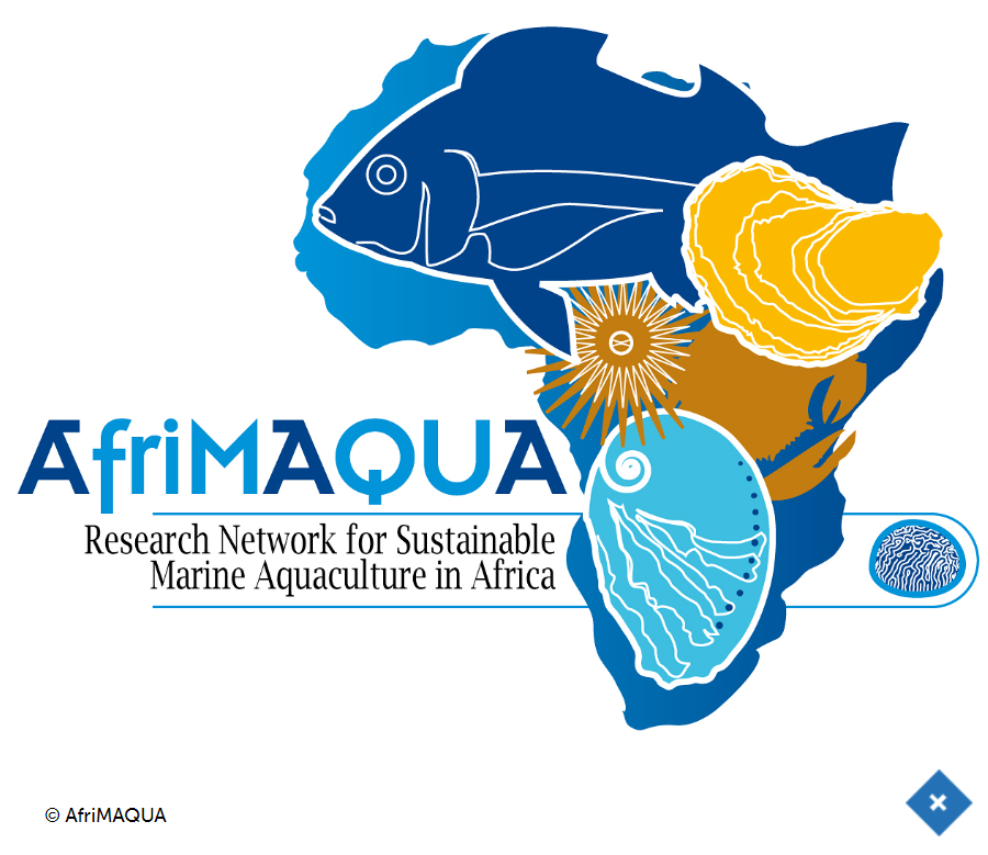 Thumbnail AFRIMAQUA - Research Network for Sustainable Marine Aquaculture in Africa