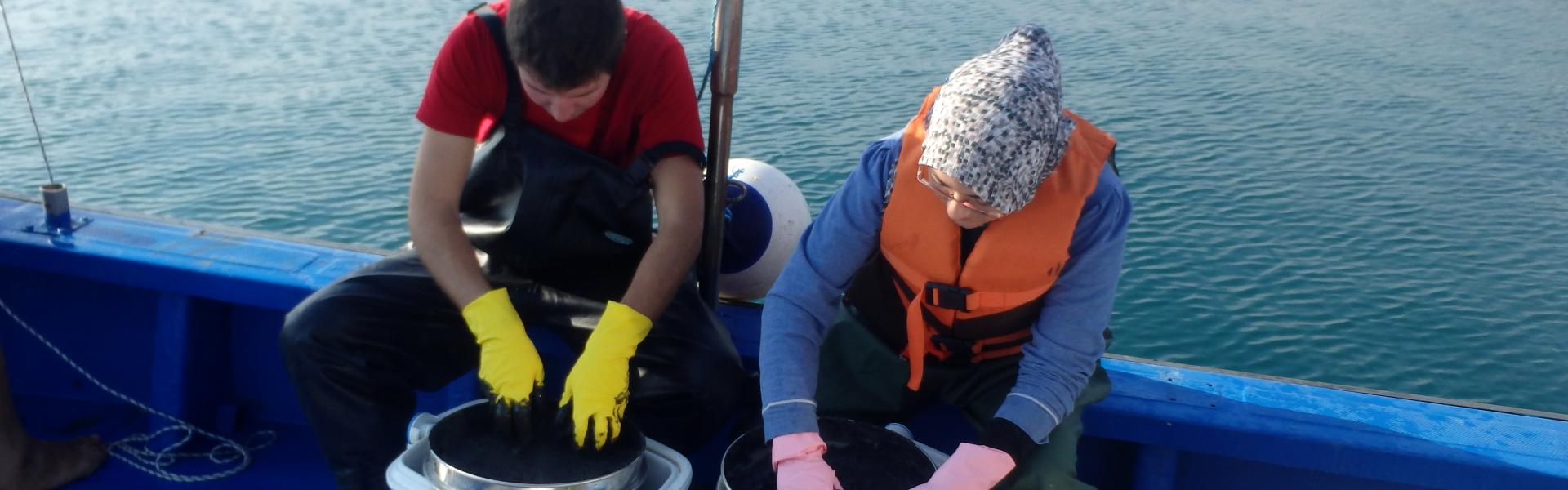 Miniature Contaminants et Ecosystèmes Marins Sud Méditerranéens